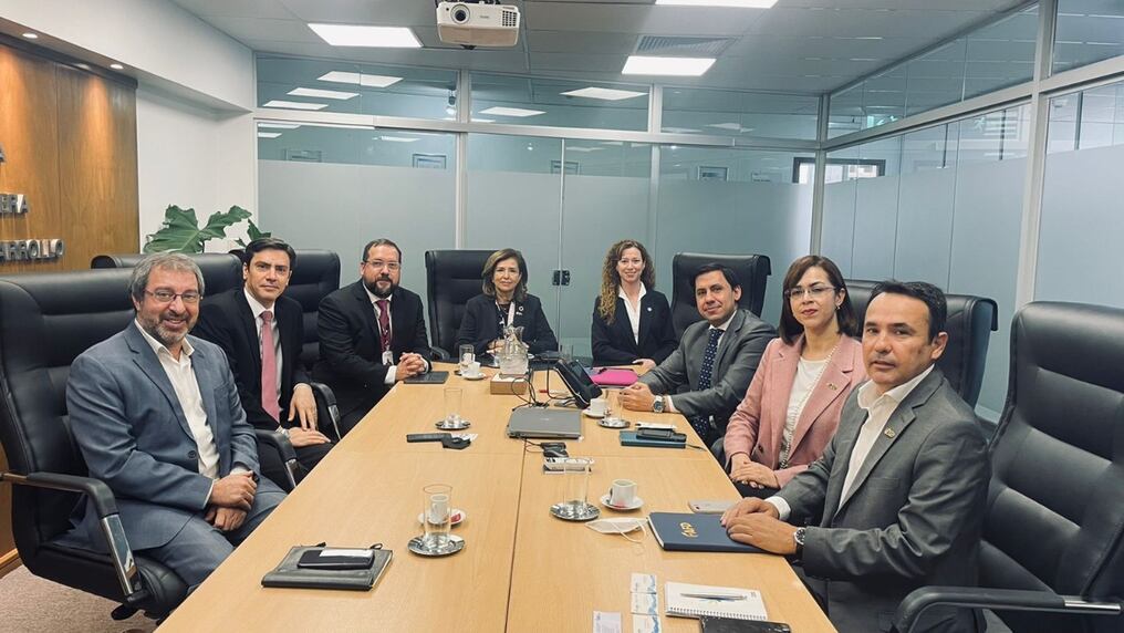 La AFD se encuentra actualmente realizando la acreditación correspondiente para convertirse en una de las agencias nacionales de implementación o instituciones acreditadas ante el FVC. Foto: Gentileza.