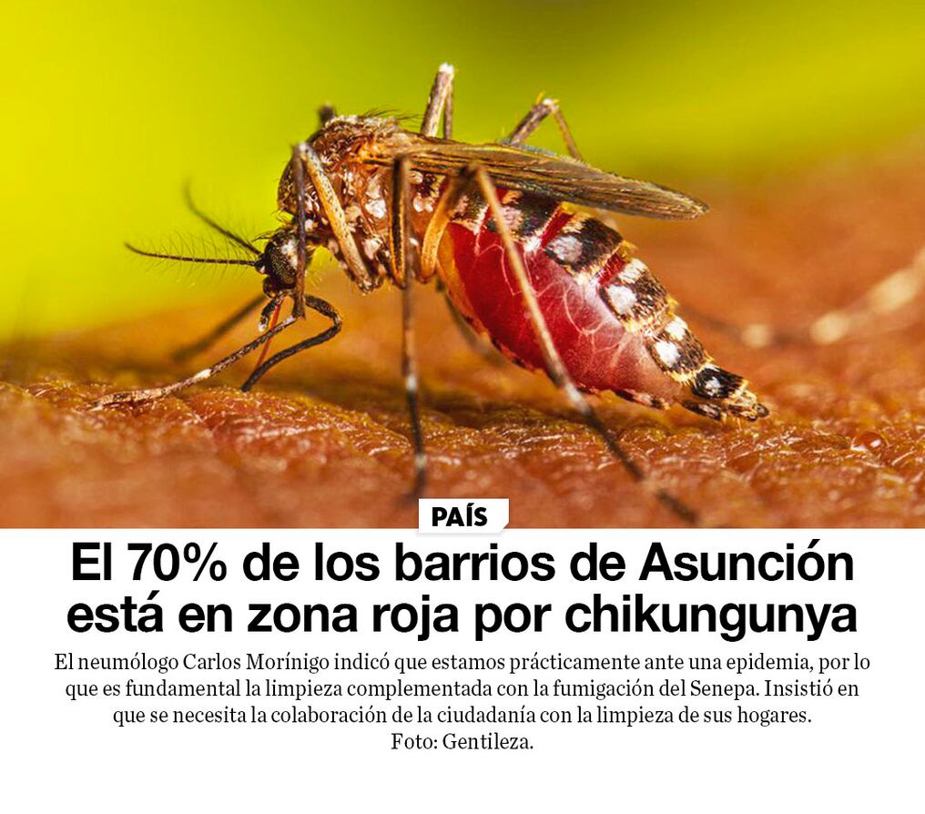 El 70% de los barrios de Asunción está en zona roja por chikungunya