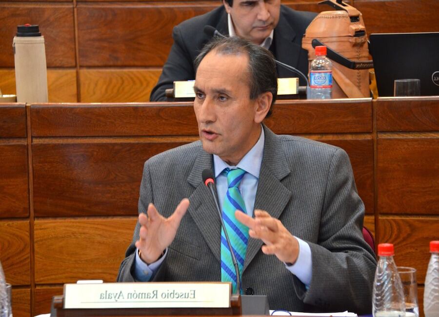 La postura del liberal surgió ante la posición de algunos sectores de responsabilizar a toda la clase política sobre las falencias en el ámbito de la salud y en el sector económico en plena crisis por el COVID-19. Foto: Archivo.