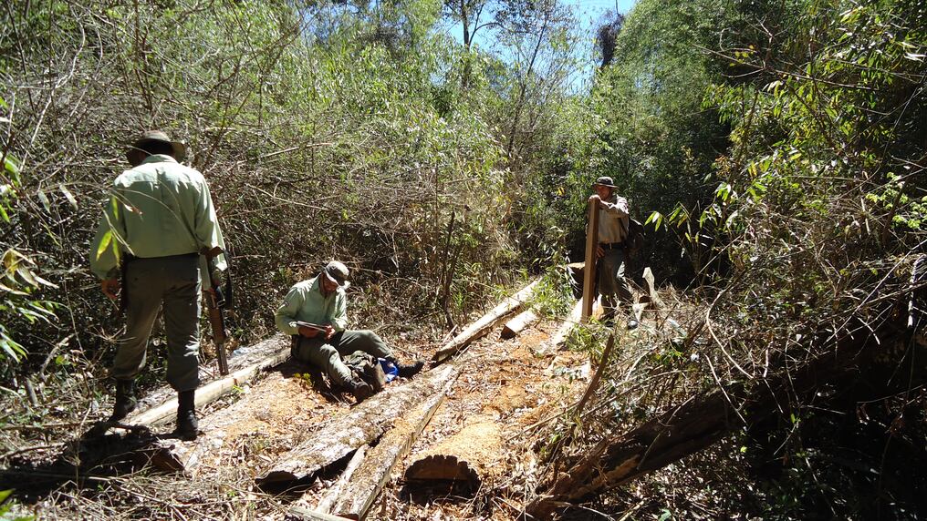 Una de las tantas intervenciones que hicieron dentro de las reservas en las que trabajaron. Foto: Gentileza