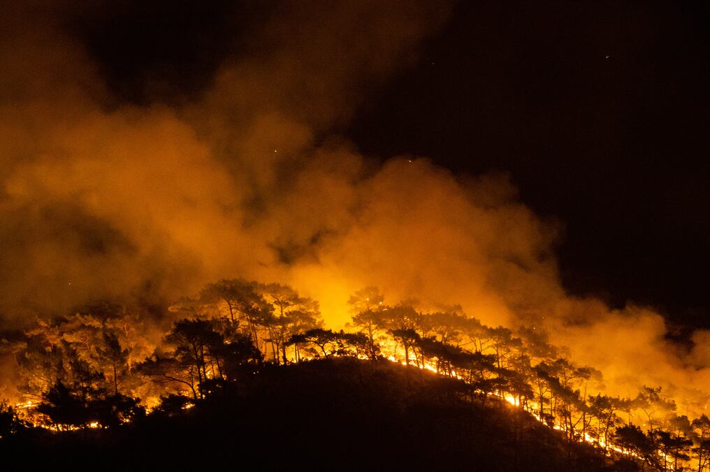 Frente al avance de las llamas que amenazan las ciudades de Antalya, Bodrum y Marmaris (suroeste), cientos de turistas y de residentes fueron evacuados el domingo de sus casas y hoteles. Foto: AFP.