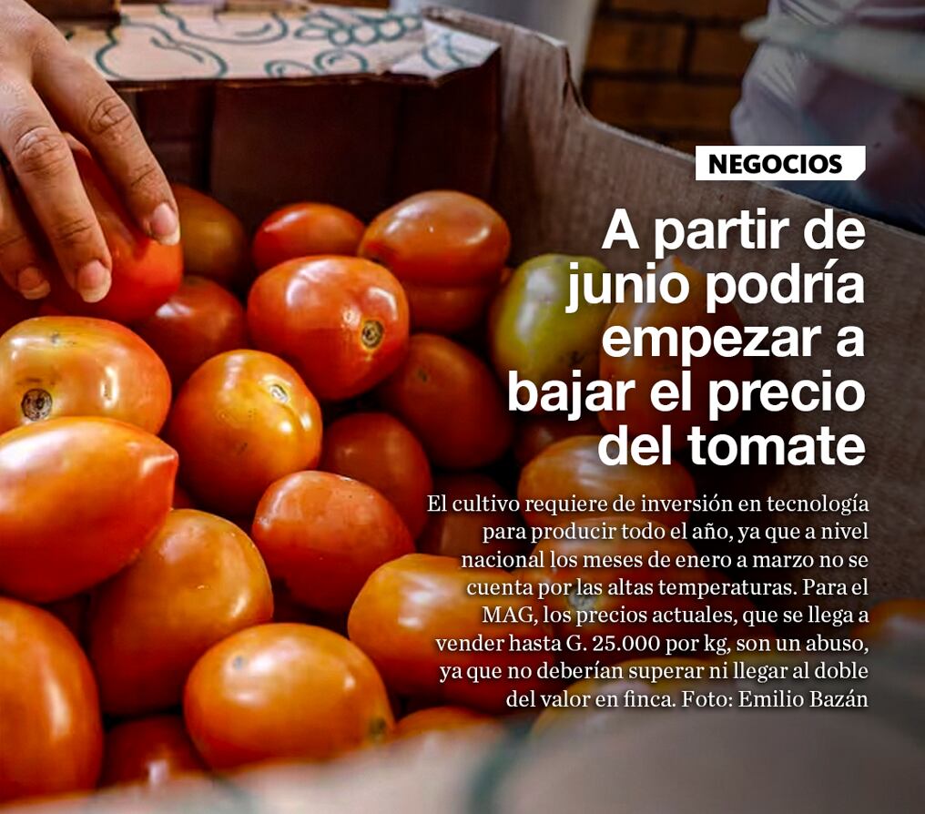 A partir de junio podría empezar a bajar el precio del tomate