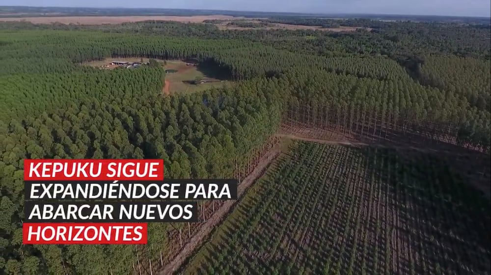 Kepuku, Grupo Sueñolar.
