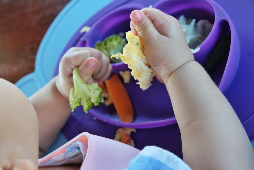 BLW: la alimentación que estimula los sentidos