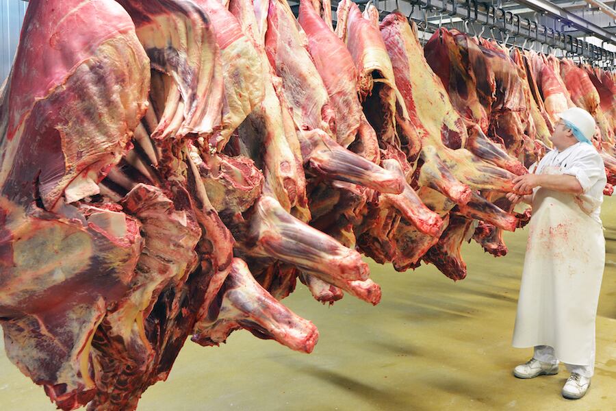 Paraguay tuvo una diferencia del 10% en el precio de la carne por tonelada, mientras que los demás países del Mercosur superan el 20%. Foto: Archivo.