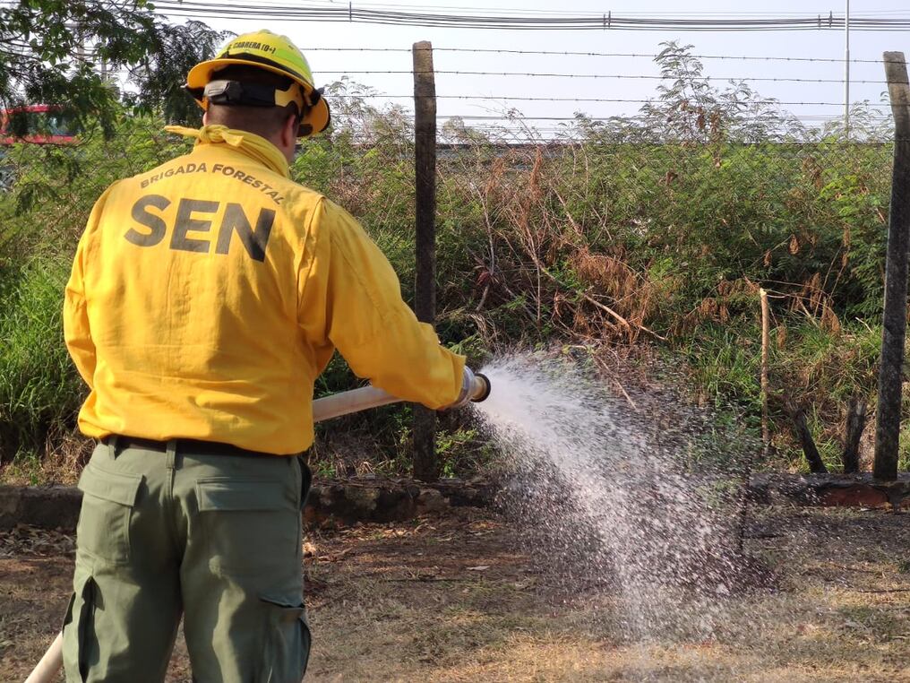 Desde este martes, funcionarios de la Brigada Forestal de la SEN se encargan de desarrollar tareas de mitigación en los parques Ñu Guasu y Metropolitano. Foto: Gentileza