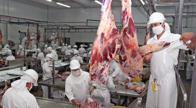 Unas 270.000 toneladas de la proteína roja se prevé exportar al cierre de este año. Foto: Archivo. 