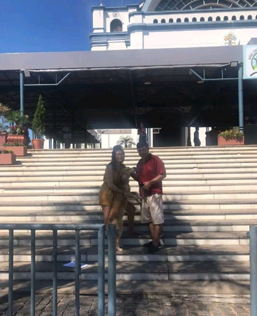 El perrito estuvo varios días fuera de la casa y al ver a sus dueños comenzó a saltar de la felicidad. Ahora tendrán mayor cuidado para que no se vuelva a escapar. Foto: Gentileza.