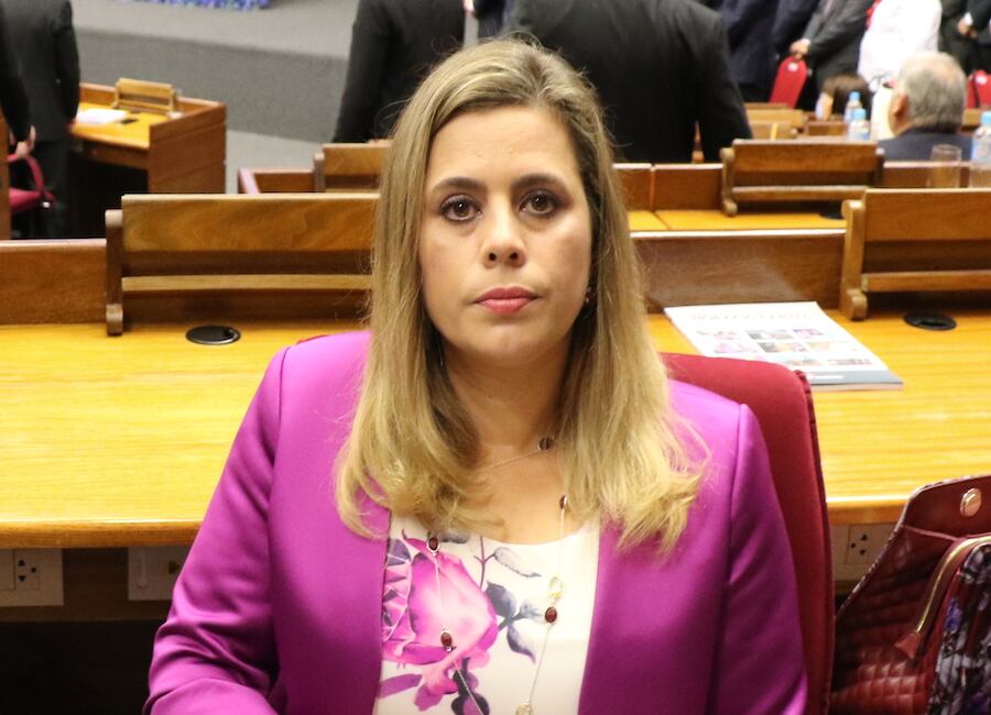 La legisladora sostuvo que contrajo la enfermedad a pesar de tener en cuenta todos los cuidados establecidos. Foto: Archivo.