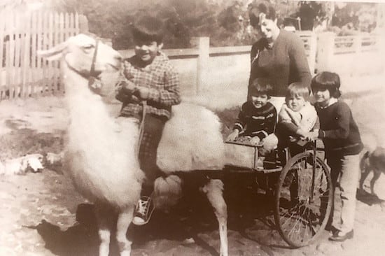 Ani Medina de Spatuzza con sus hijos: Jorge, Carlo y Marcelo. Acompañados de la vecina Delia Ugarte y el perro Terry. Barrio Sajonia. Asunción, 1970.