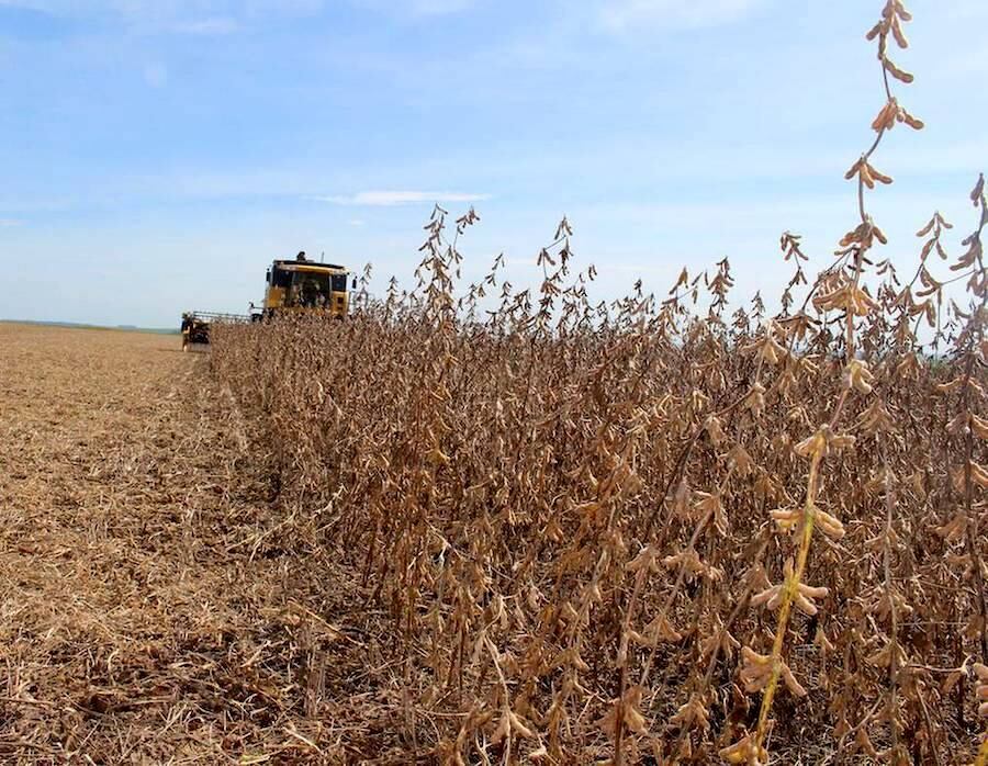 La mejora en la producción de soja y arroz incidió positivamente para que el Imaep crezca en febrero del 2023. Foto: Archivo.