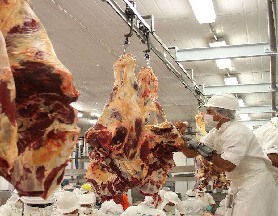 Los precios de la hacienda local presentaron una variación positiva en US$ 3,65 por kilogramo la carcasa mientras que en Argentina, Brasil y Uruguay se mantuvieron estables. Foto: Ilustrativa.