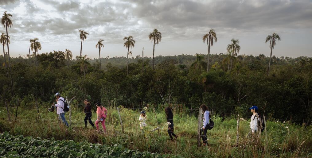 Proyecto busca reducir el cambio climático y la pobreza campesina