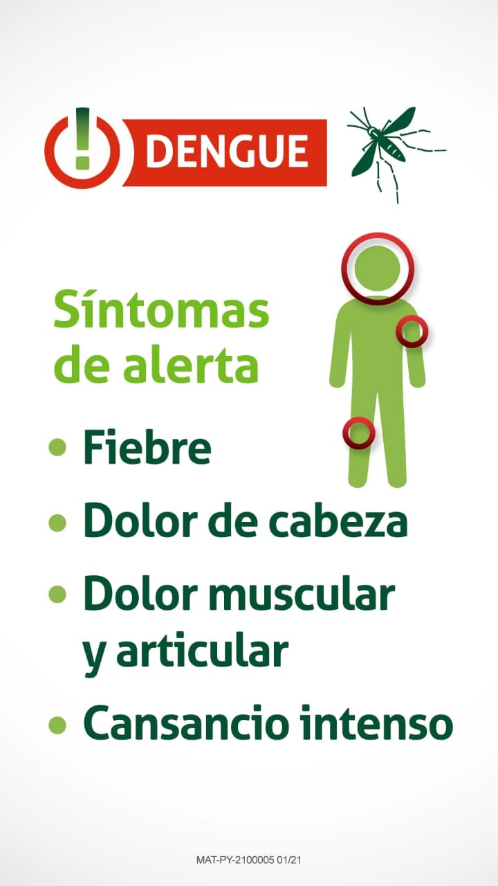 Los principales síntomas del dengue en las personas son fiebre intensa y dolores musculares. Foto: Gentileza.