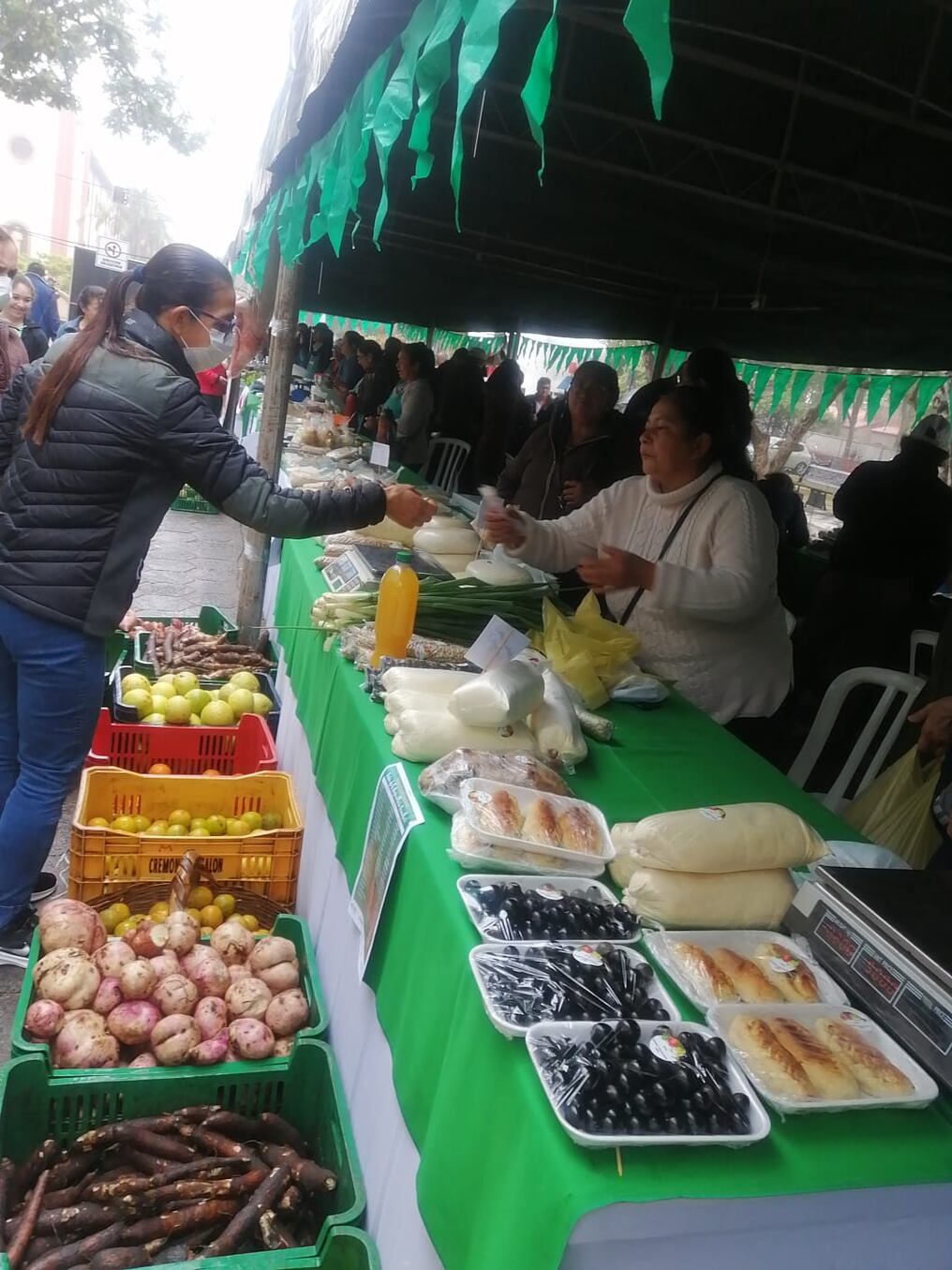 Destacan que productores tienen oportunidad de ofertar productos a un mejor precio. Foto: Gentileza. 