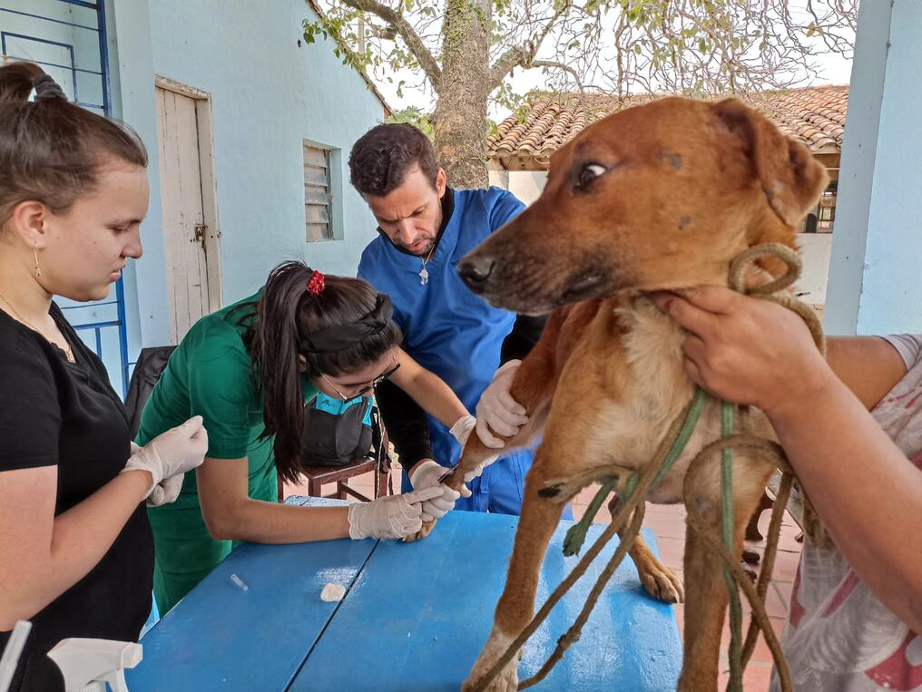 La Unidad de Zoonosis de Asunción invita a las personas de la comunidad y zonas aledañas a llevar a sus mascotas para la atención y control. Foto: Gentileza.