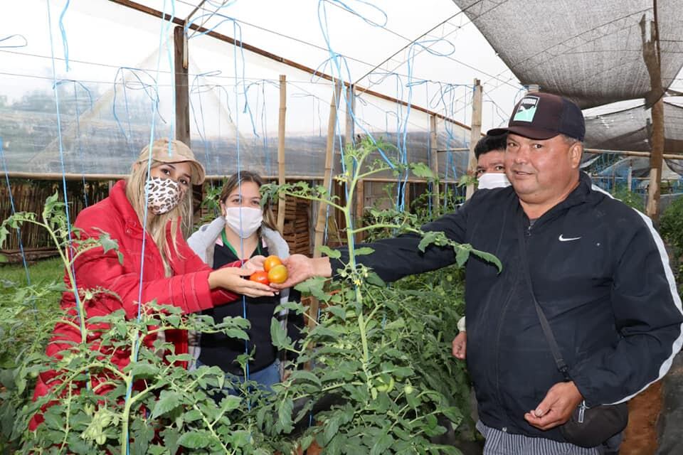 Los beneficiados se convertirán en protagonistas eficientes en la generación de los cambios que sus comunidades necesiten. Foto: Archivo.