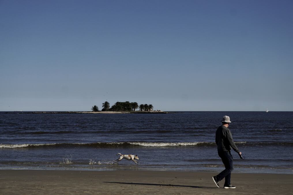 En las últimas 24 horas se registraron en el país 476 nuevos contagios y cuatro fallecimientos, el dato más elevado desde marzo, según cifras oficiales. Foto: AFP.