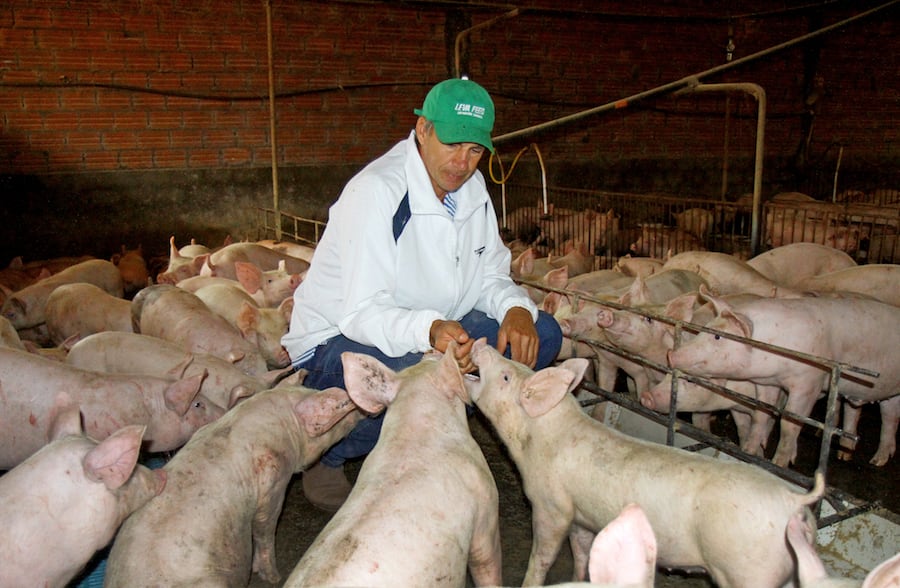 Desde los dos gremios indican que el costo de producción sigue siendo bastante alto. Foto: Archivo.