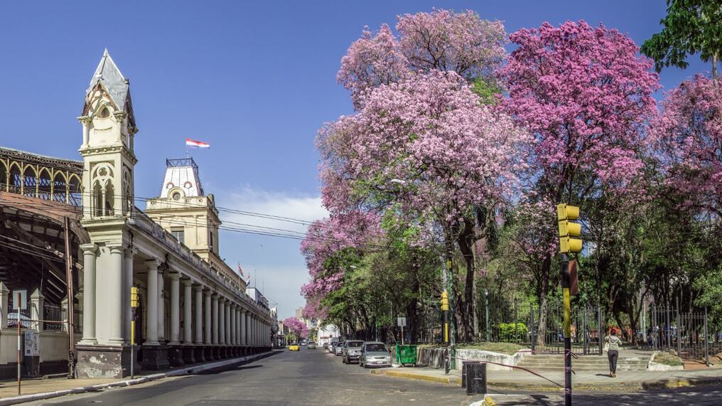 Foto: Gentileza.