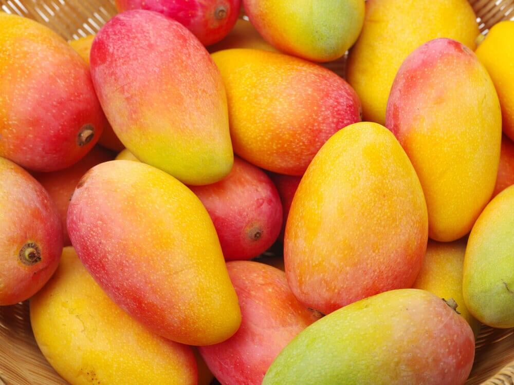 Plantean alternativas innovadoras para industrializar la fruta del mango en el país con valor agregado a través de las formas de conservación. Foto: Ilustrativa.