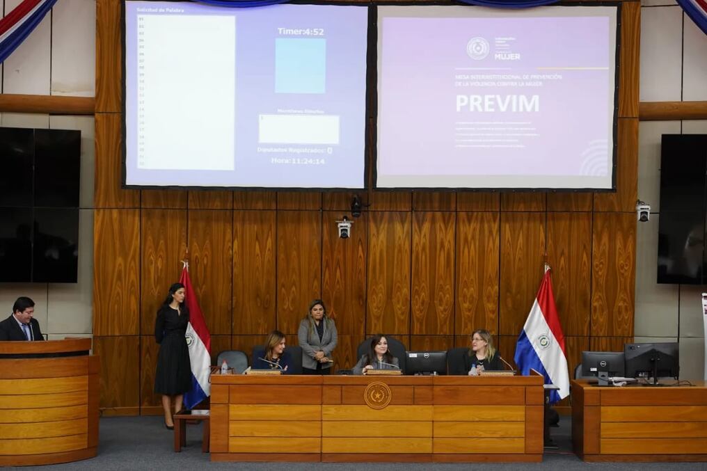 La presentación se llevó a cabo ayer ante la Comisión de Equidad Social y Género de la Cámara de Diputados. Foto: Gentileza.