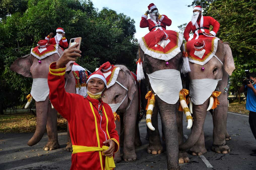 Cuatro elefantes, con adornos de Papá Noel y mascarillas gigantes, desfilaron el miércoles en su visita anual a un centro escolar en Tailandia. Foto: AFP.