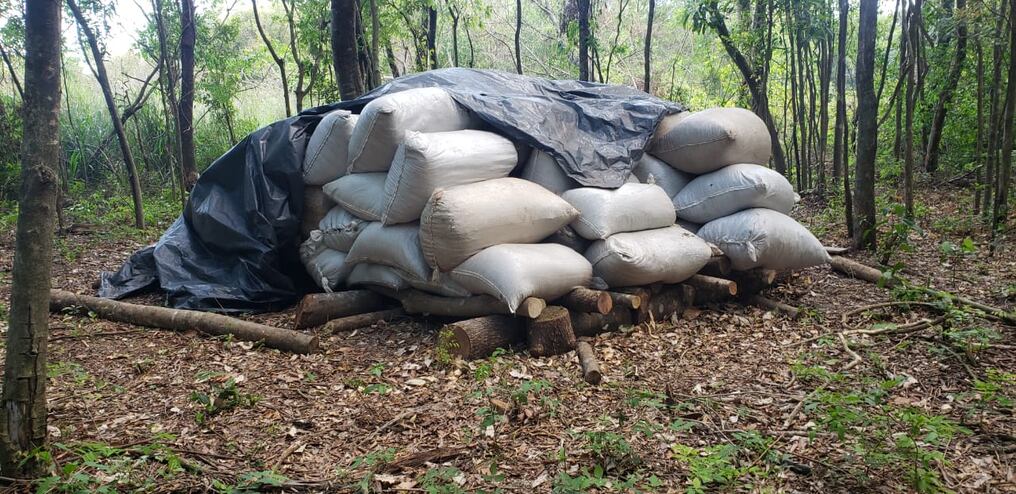 En el procedimiento se incautó un total de 343 kilos de marihuana distribuidos en 436 panes que se encontraban en la desembocadura del Río Paraná, en el kilómetro 820. La sustancia estaba envuelta en bolsas que contenían varios paquetes en su interior. Foto: Ilustrativa.