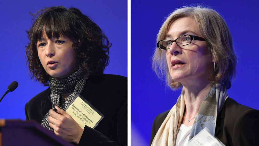 Las científicas Emmanuelle Charpentier y Jennifer Doudna, ganadoras del Premio Nobel de Química 2020, por sus investigaciones en edición genética. Foto: AFP.