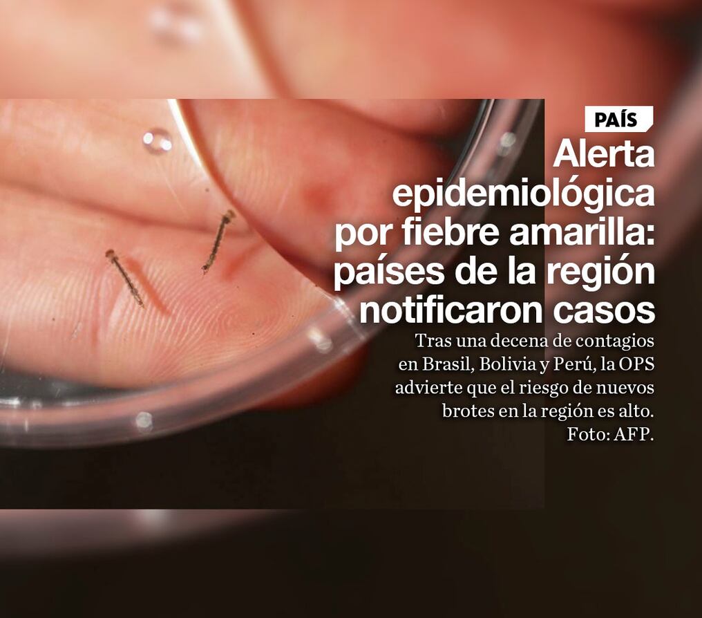 Alerta epidemiológica por fiebre amarilla: países de la región notificaron casos