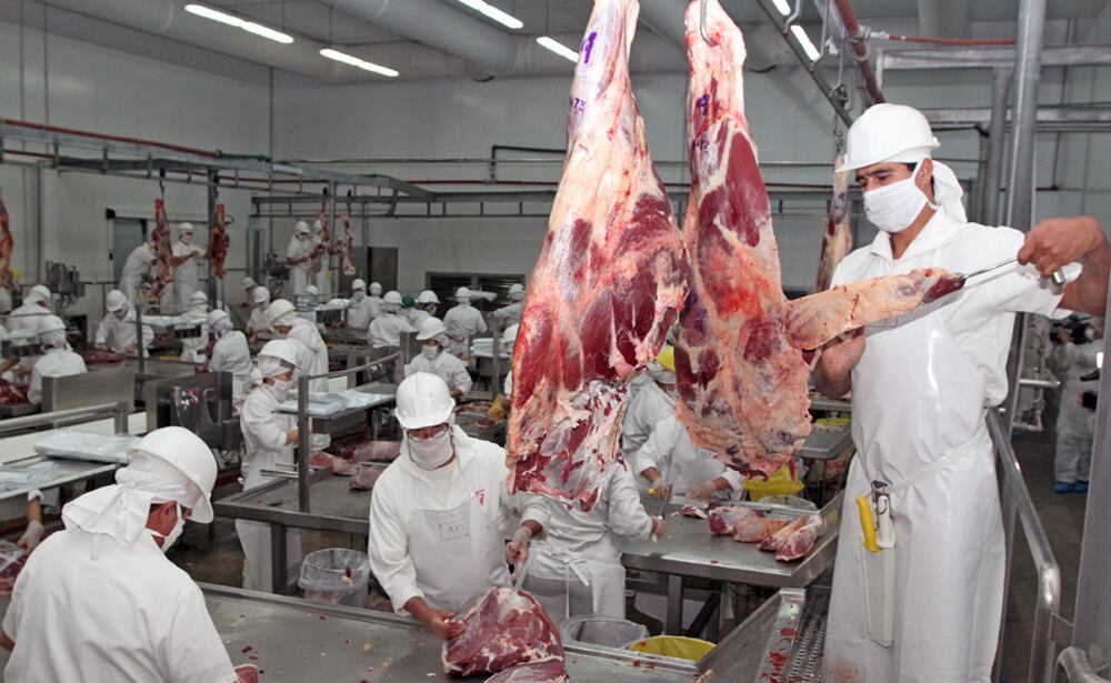 En lo que se refiere a menudencias bovinas, el informe detalla que también en lo que va del año se consiguió exportar un total de 15.859.689 kilos de este producto, es decir, casi 16.000 toneladas, por un valor de mercado aproximado a los US$ 31.069.904. Foto: Gentileza.