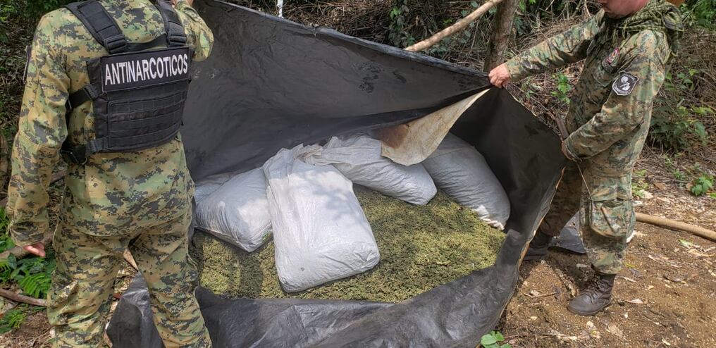Encontraron varios campamentos precarios y alrededor de unas 300 bolsas de marihuana picada. Foto: Gentileza.