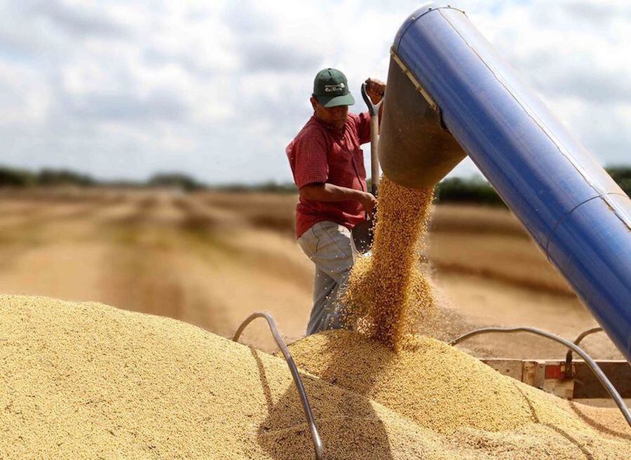 UGP no desea a nadie lo que Paraguay enfrentó en el 2022 a causa de la sequía, pero la menor producción puede influir en sostener o mejorar los precios de la soja. Foto: Archivo.