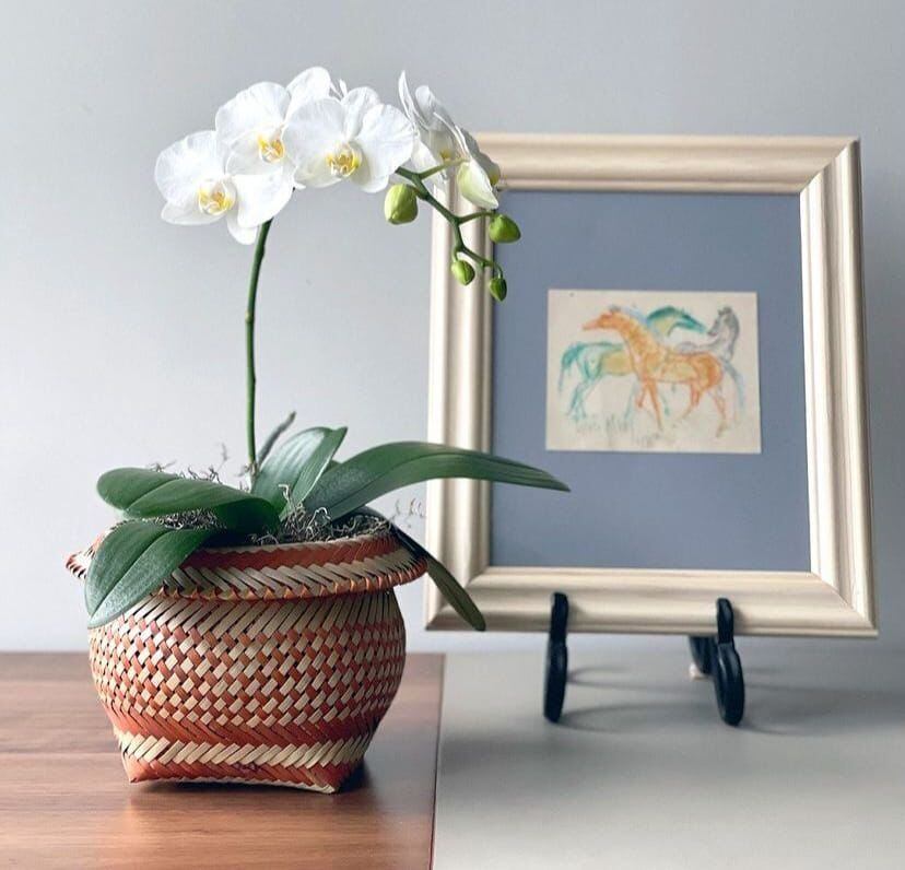 Keiki cuenta con varias opciones de arreglos en distintas macetas, colores y hasta arreglo floral en forma de corazones. Foto: Gentileza.
