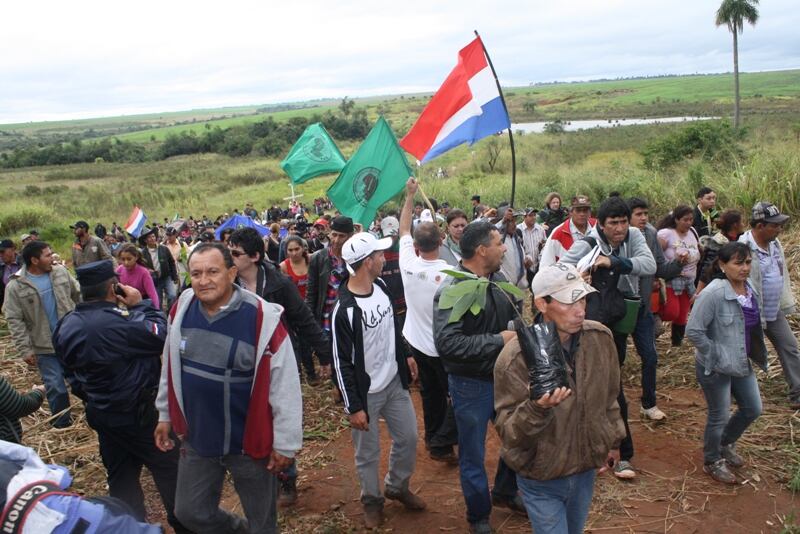 Dicha sanción podría darse si el Ejecutivo llega a promulgar la ley que expropia tierras de Marina Cué, actualmente Reserva Yberá, ubicada en el departamento de Canindeyú, para asentamientos humanos. Foto: Archivo.