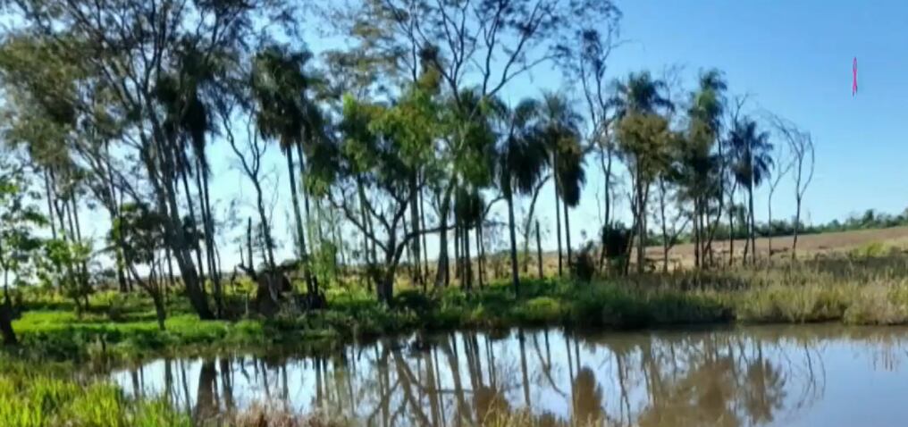 El hecho ocurrió en el distrito de San José del Rosario, donde resultó víctima fatal el niño que se encontraba al cuidado de su tío. Foto: Captura de pantalla.