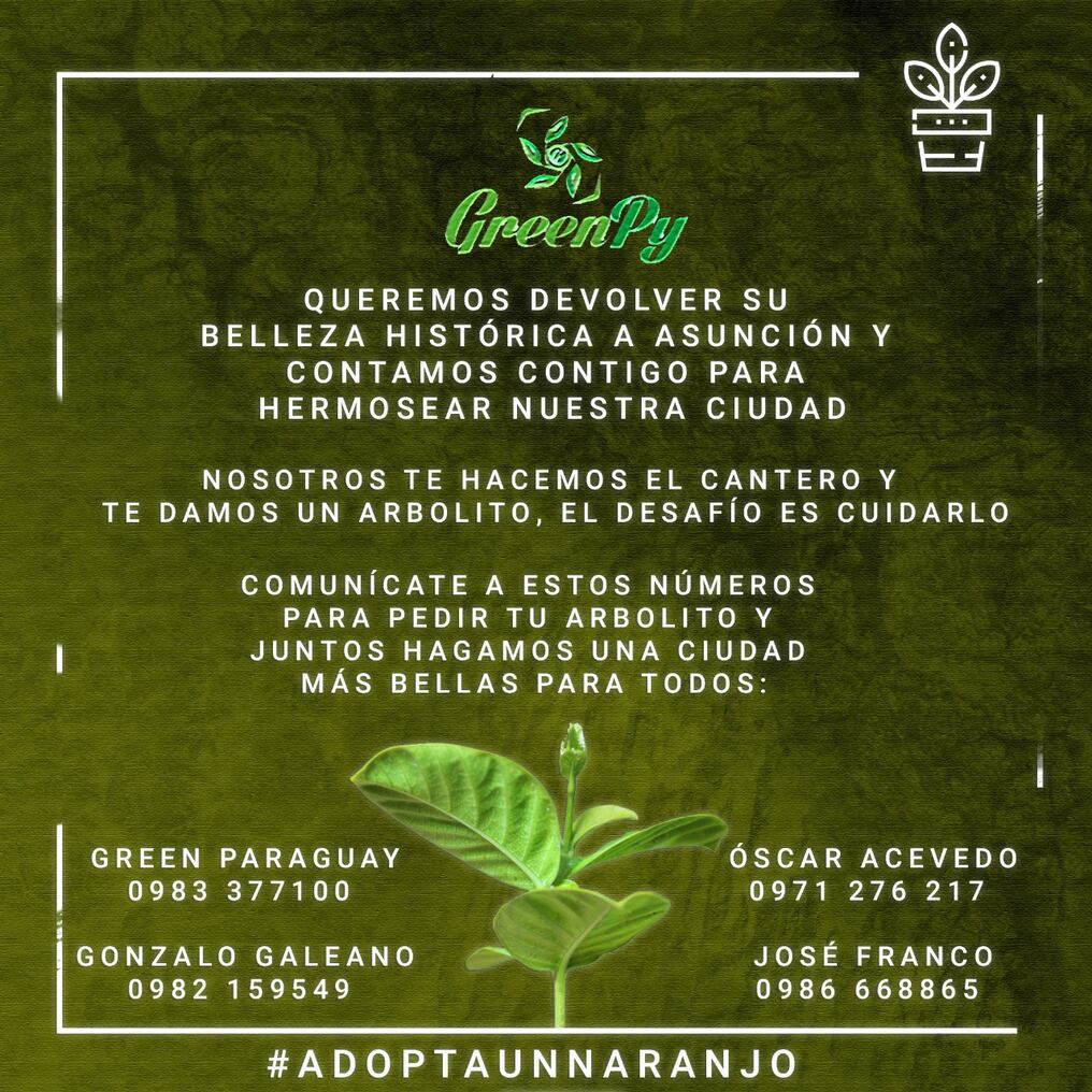 También se podrá plantar árboles como acerolas, pomelos, limón, jakaranda entre muchas otras especies, dependiendo de la zona . Foto: Gentileza.