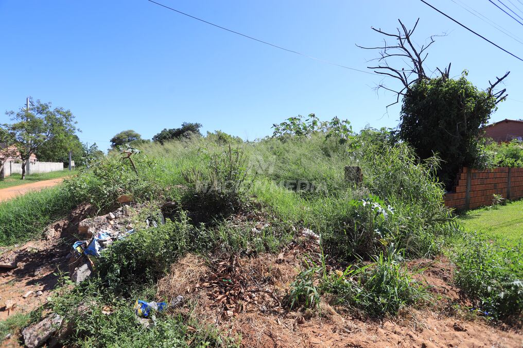 El terreno baldío está ubicado en una esquina del barrio Laurelty de Luque. Foto: Jorge Romero.