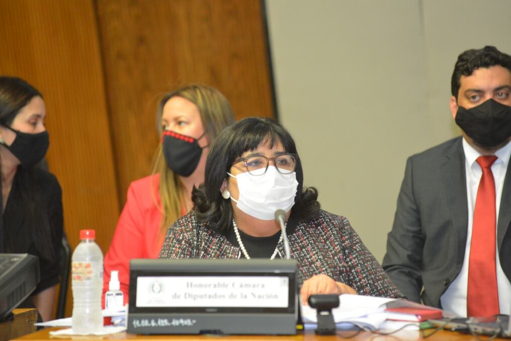 Ante la Cámara de Diputados, la ministra Teresa Martínez aclaró en la interpelación los puntos sobre el Plan Nacional de la Niñez. Foto: Gentileza.