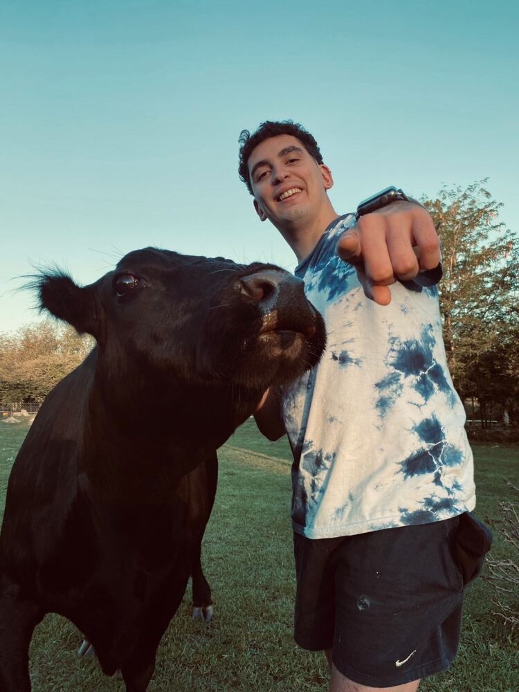 Facundo Aguilera muestra las cualidades de su mascota, una vaca con cualidades muy similares a las de un perro. Foto: Gentileza.