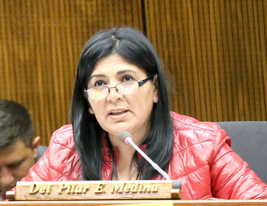 La diputada Del Pilar Medina es una de las promotoras de la modificación de la legislación tributaria. Foto: Archivo.