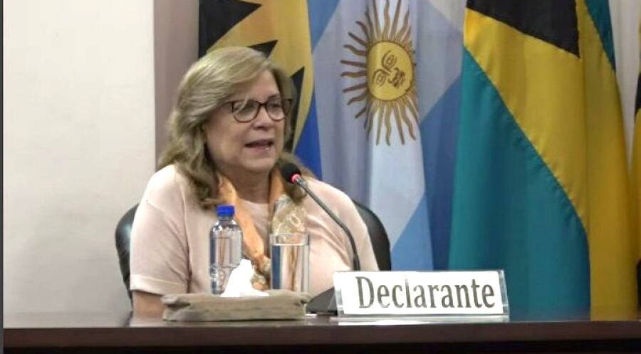 Los abogados Raúl Caballero y Josefina Aghemo apelaron la resolución de la jueza de Sentencia Cándida Fleitas que llamativamente archivó la querella contra Cristina Arrom. Foto: Gentileza.