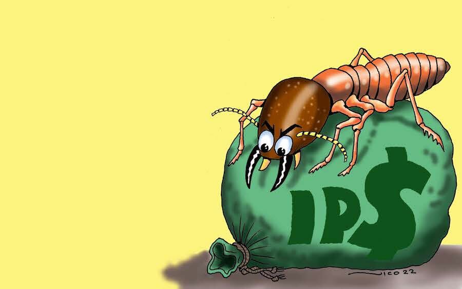 Raro detector antitermitas condiciona llamado de G. 7.800 millones del IPS