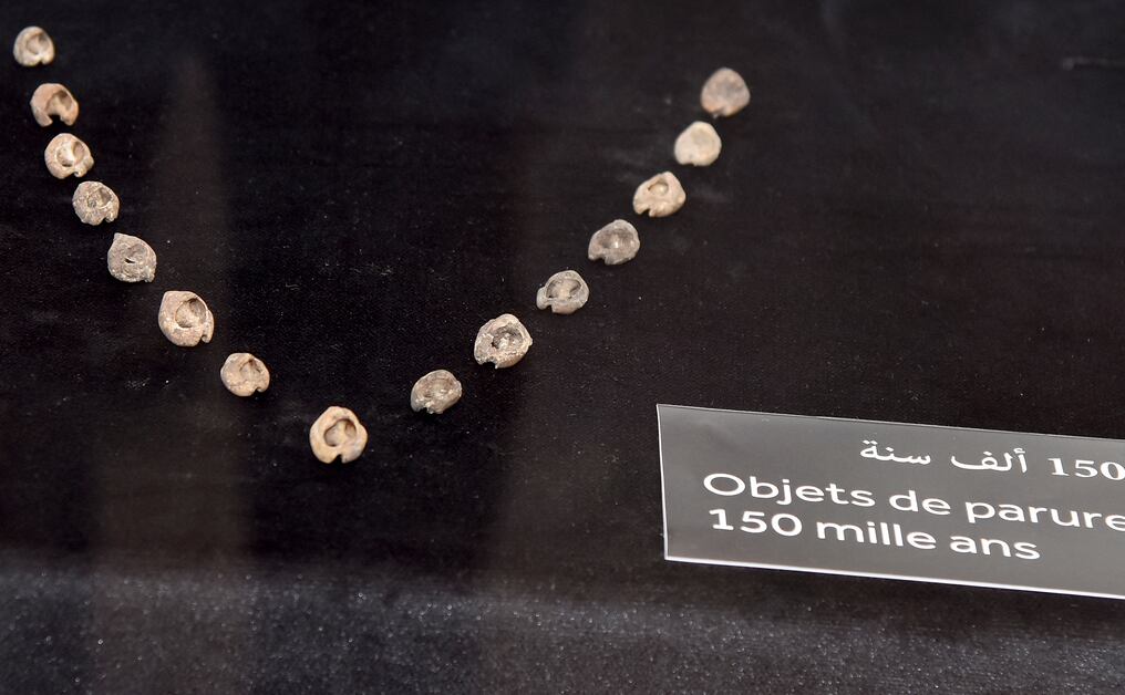 Los arqueólogos en Marruecos revelaron, lo que dijeron que era la joyería más antigua del mundo, las conchas marinas perforadas que datan de hace 150.000 años. Las conchas, que se supone que formaron collares y brazaletes, fueron descubiertas en la cueva Bizmoune cerca de la localidad costera de Essaouira. Fueron fechados entre 142.000 y 150.000 años, según el investigador Abdeljalil Bouzouggar.  Foto: AFP.