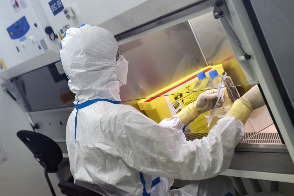 Rusia anunció que tres empresas biomédicas estarían en condiciones de producir una vacuna desde setiembre. Foto: AFP.
