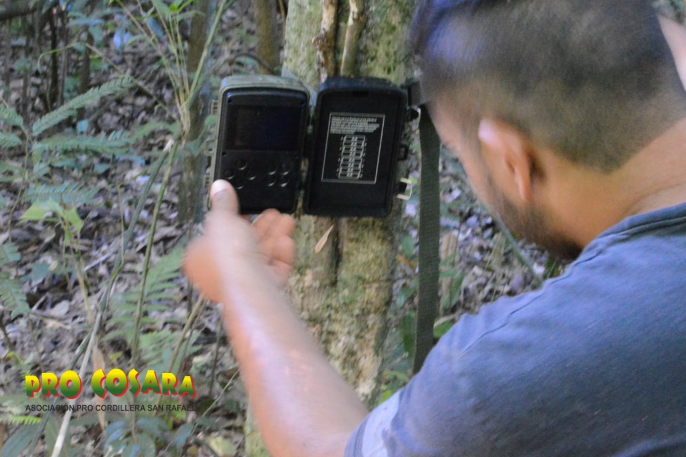 Gustavo Benítez, guardaparque de PRO COSARA, revisa una de las cámaras trampas del lugar. Foto: Gentileza PRO COSARA.