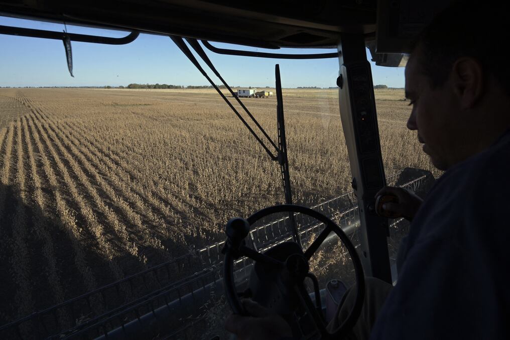 Un trabajador conduce una cosechadora mientras cosecha un campo de soja en Lobos, a unos 100 km al oeste de Buenos Aires, en abril de 2022. Foto: AFP.