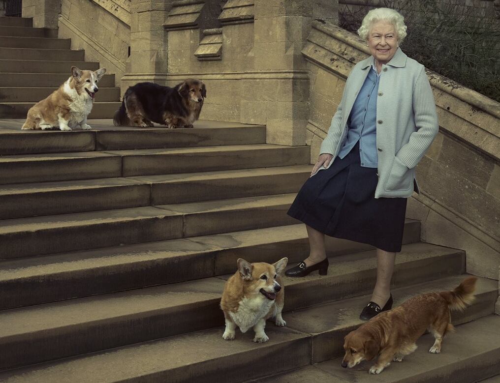 Las últimas mascotas que sobreviven a la reina, captada en esta imagen con sus perritos en 2016, son dos corgis, un cocker spaniel y un dorgi. Foto: Annie Leibovitz.