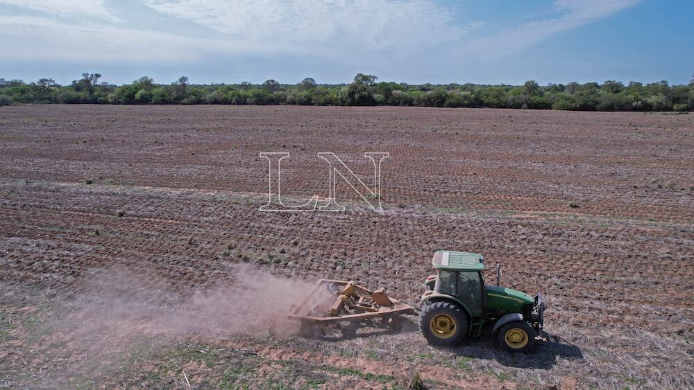 El referente del sector explicó que existe falta de personal para todos los rubros del campo. Foto: Archivo.