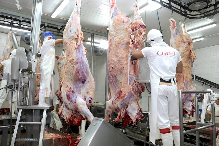 Algunos compradores refieren que con la celebración del Año Nuevo Chino, que será en febrero del 2024, se tendrá un mejor volumen de importación, lo cual ayudará a las cotizaciones, manifestaron desde la CPC. Foto: Archivo